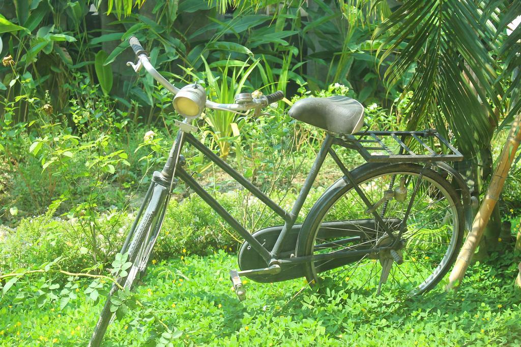 Fullhouse Resort Mae Suai Rum bild